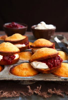 cupcakes to sink your teeth into