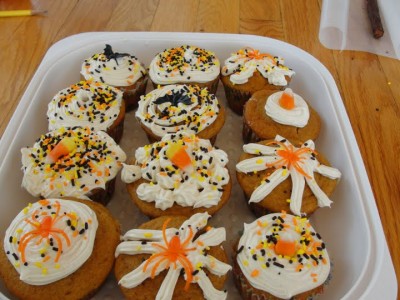 Halloween Spider Cupcakes