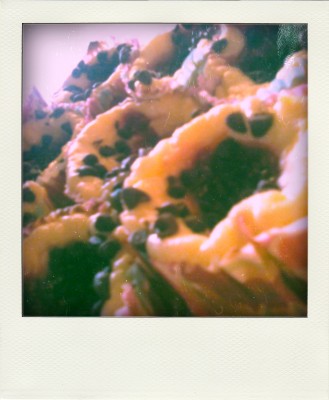 1119091302c-pola