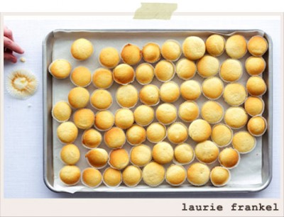 laurie-frankel-photography