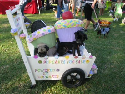 pup cakes