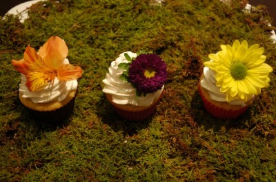 Flower Cupcakes